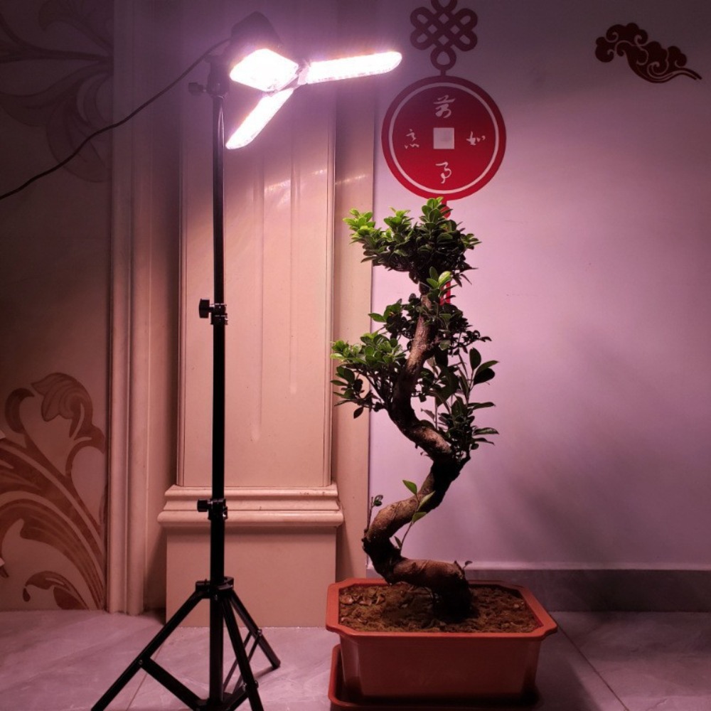 ขาตั้งหลอดไฟ 2 เมตร, ขั้วหลอดไ - Photography Lighting Studio บทวิจารณ์และราคา